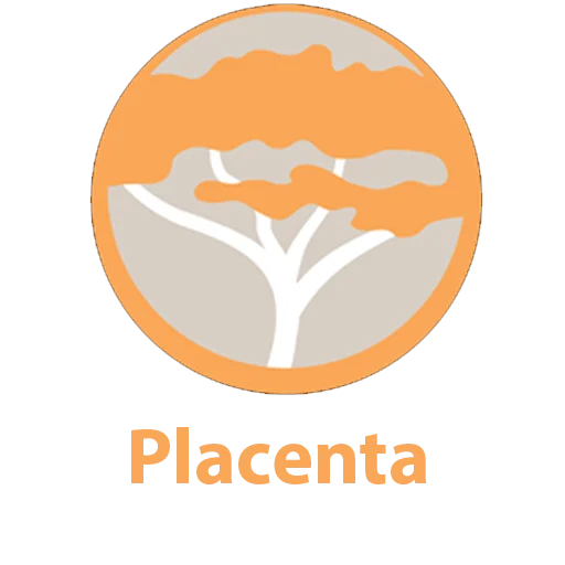 placenta kodi