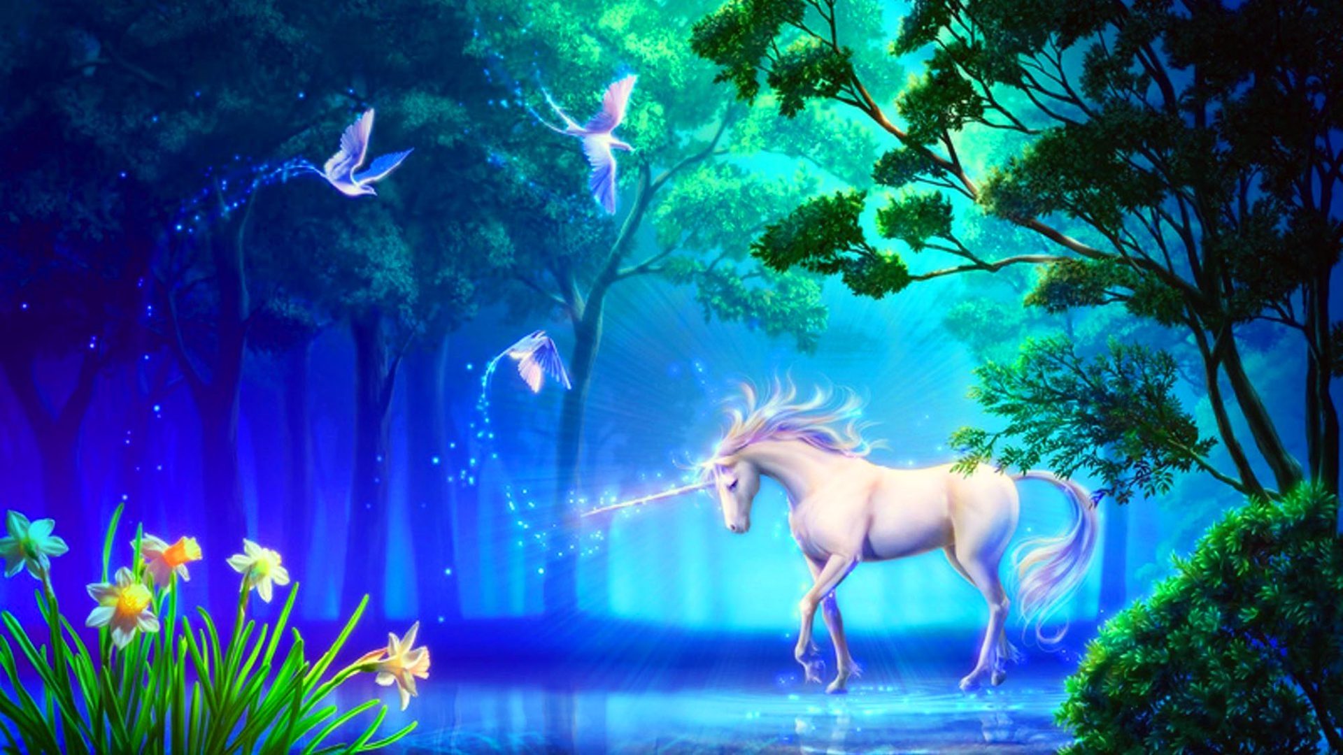 Magicality Kodi Addon